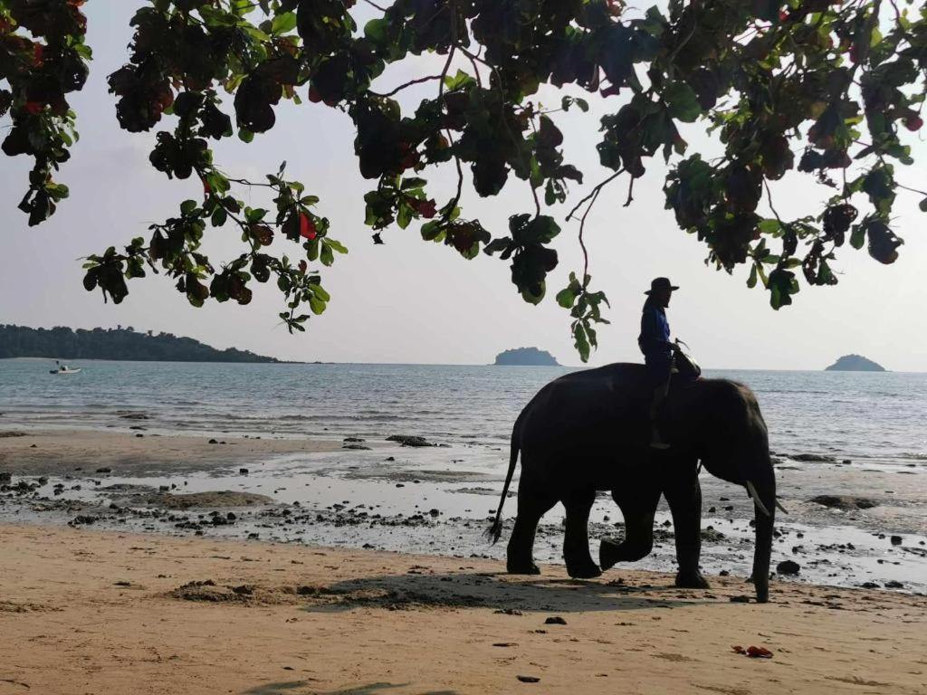Sanook Sanang Resort เกาะช้าง ภายนอก รูปภาพ