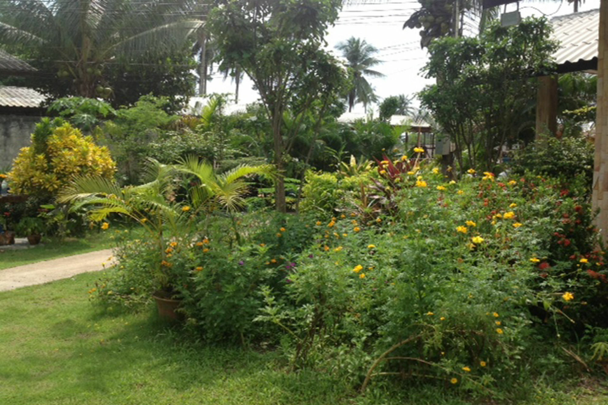 Sanook Sanang Resort เกาะช้าง ภายนอก รูปภาพ